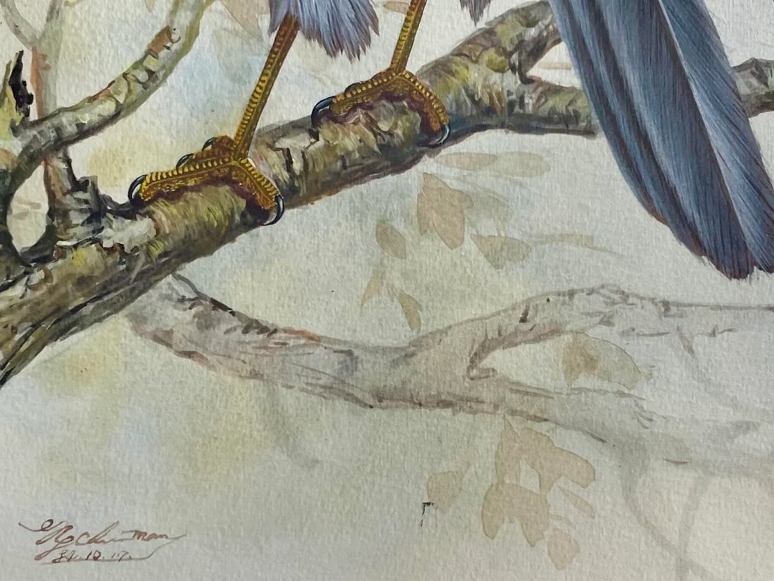 Vintage Watercolor Avian Animal Paintings, Signed & Framed Pair - 3