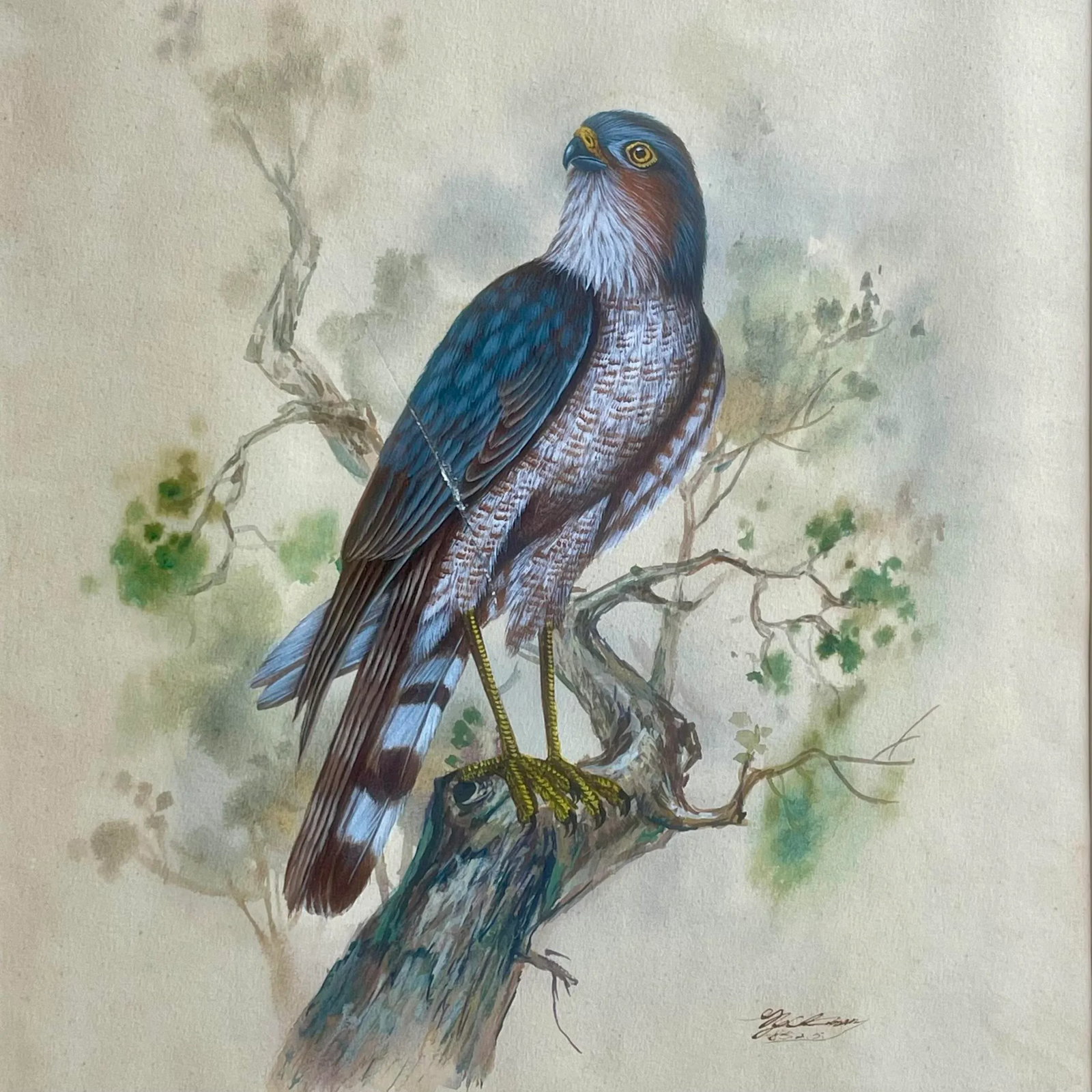 Vintage Watercolor Avian Animal Paintings, Signed & Framed Pair - 5
