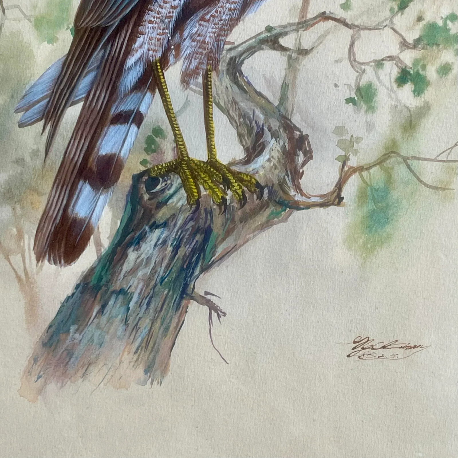 Vintage Watercolor Avian Animal Paintings, Signed & Framed Pair - 6
