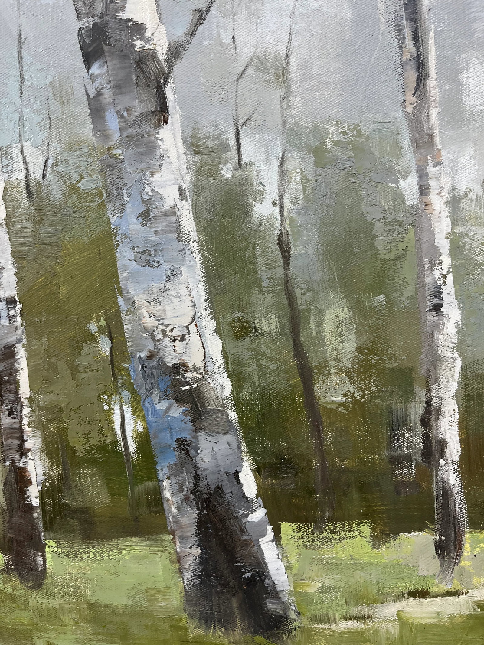 Birch Tree Impressionistic Landscape Original Oil Painting - 8