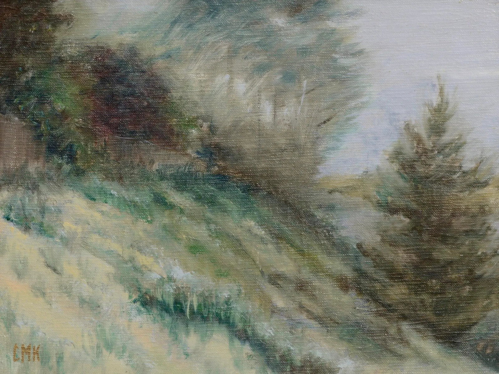 Hillside Landscape - 2