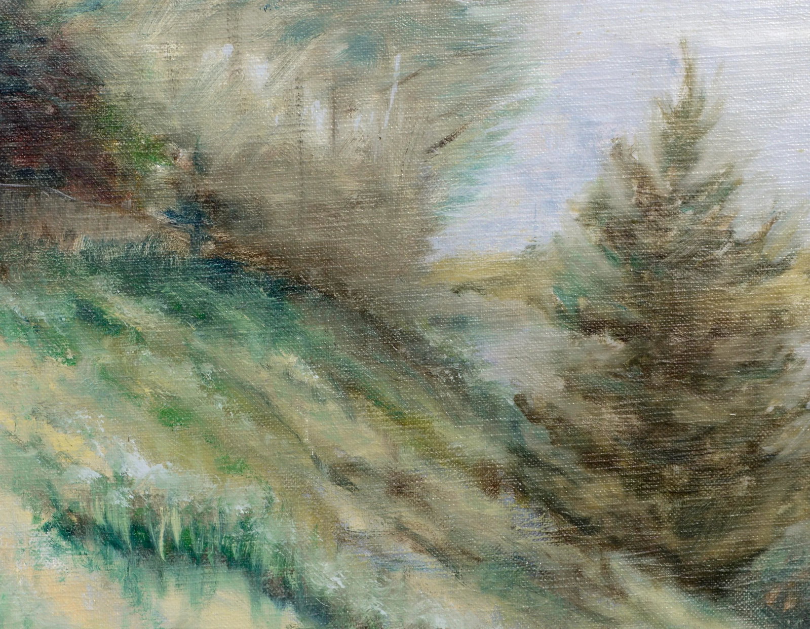 Hillside Landscape - 6