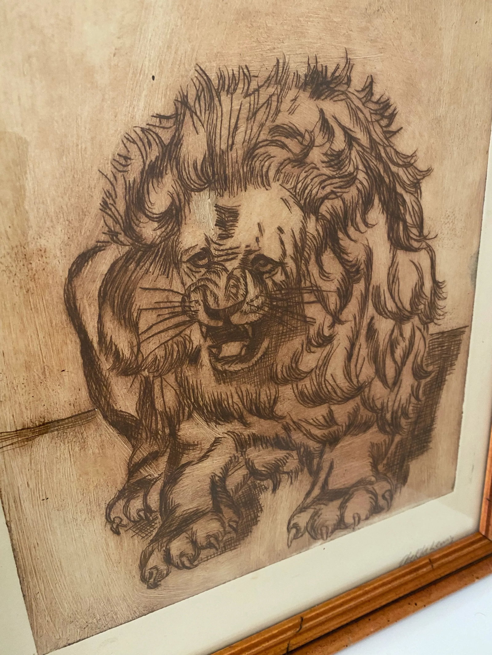 Vintage Mid-Century Original Lion Animal Etching Signed - 3