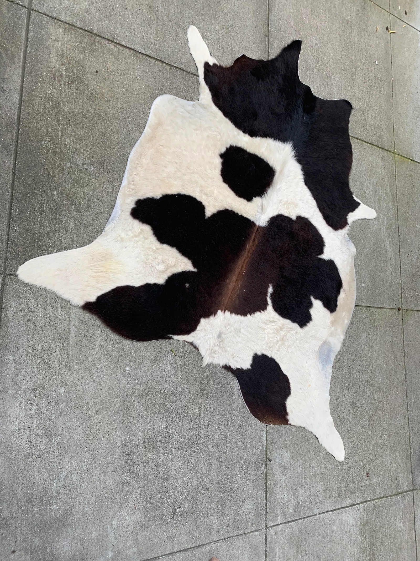 Black and White Cowhide - 5'4'' * 14'2'' - 2