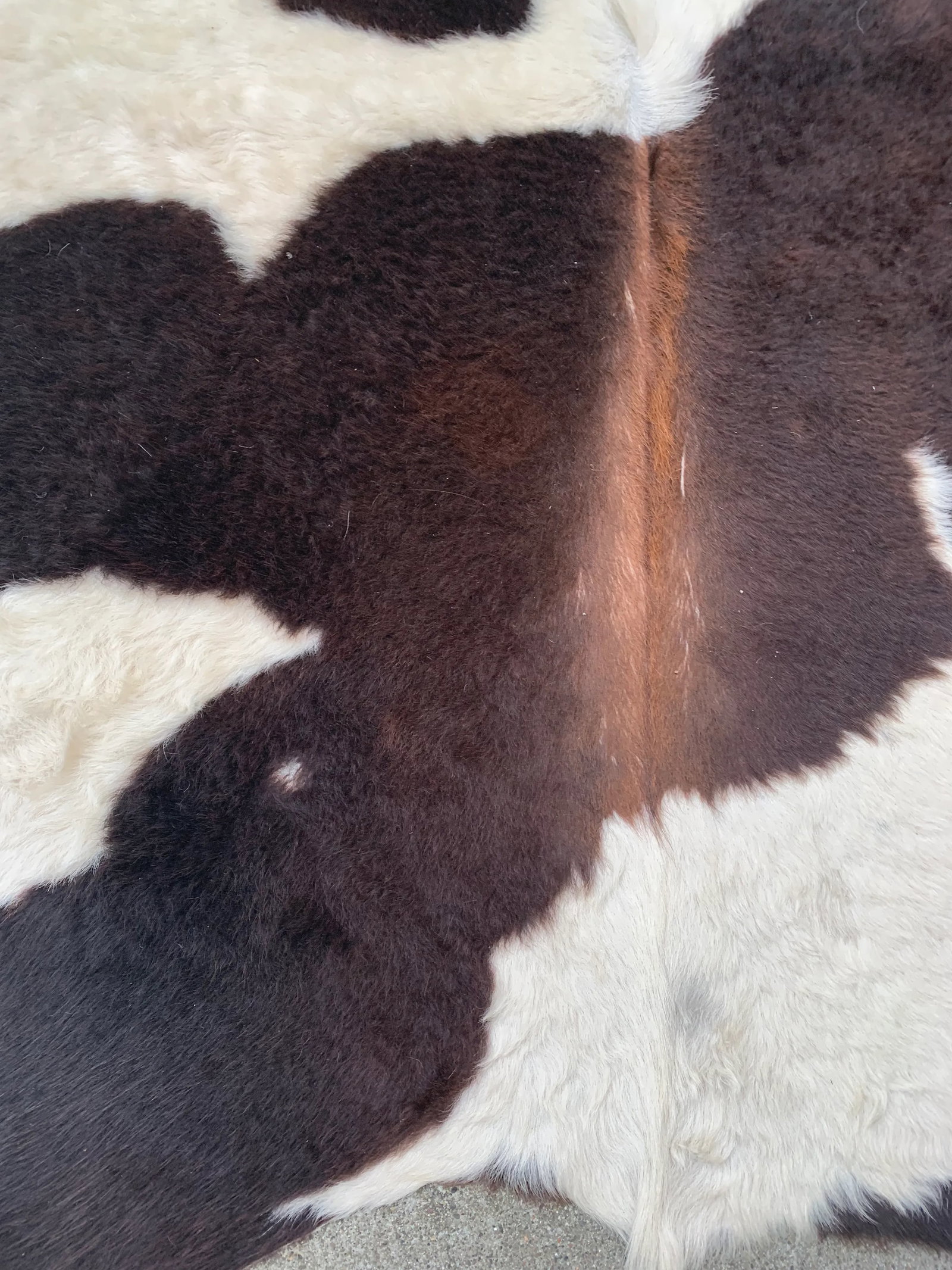 Black and White Cowhide - 5'4'' * 14'2'' - 3