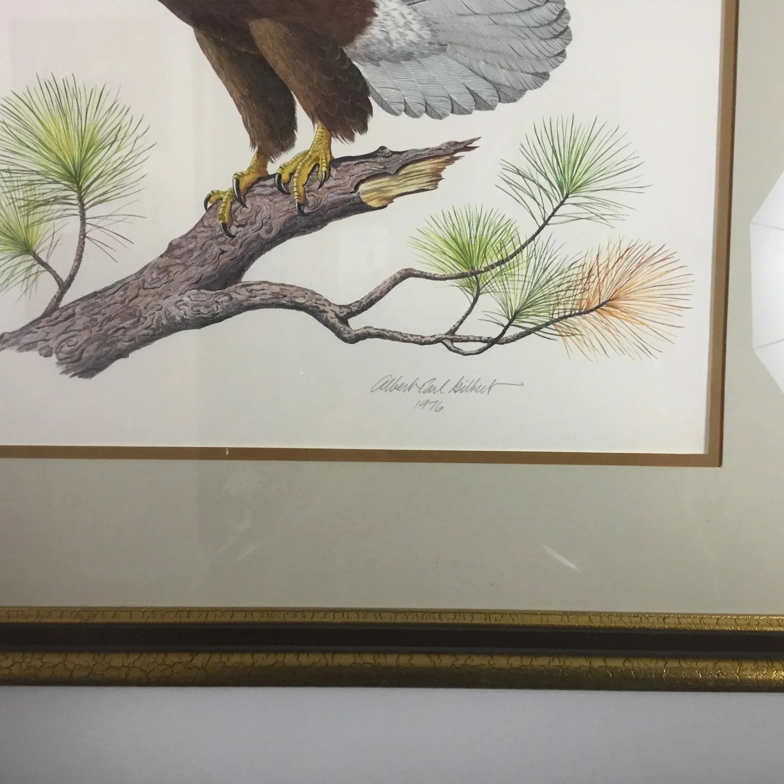 American Bald Eagle by Albert Earl Gilbert - 3