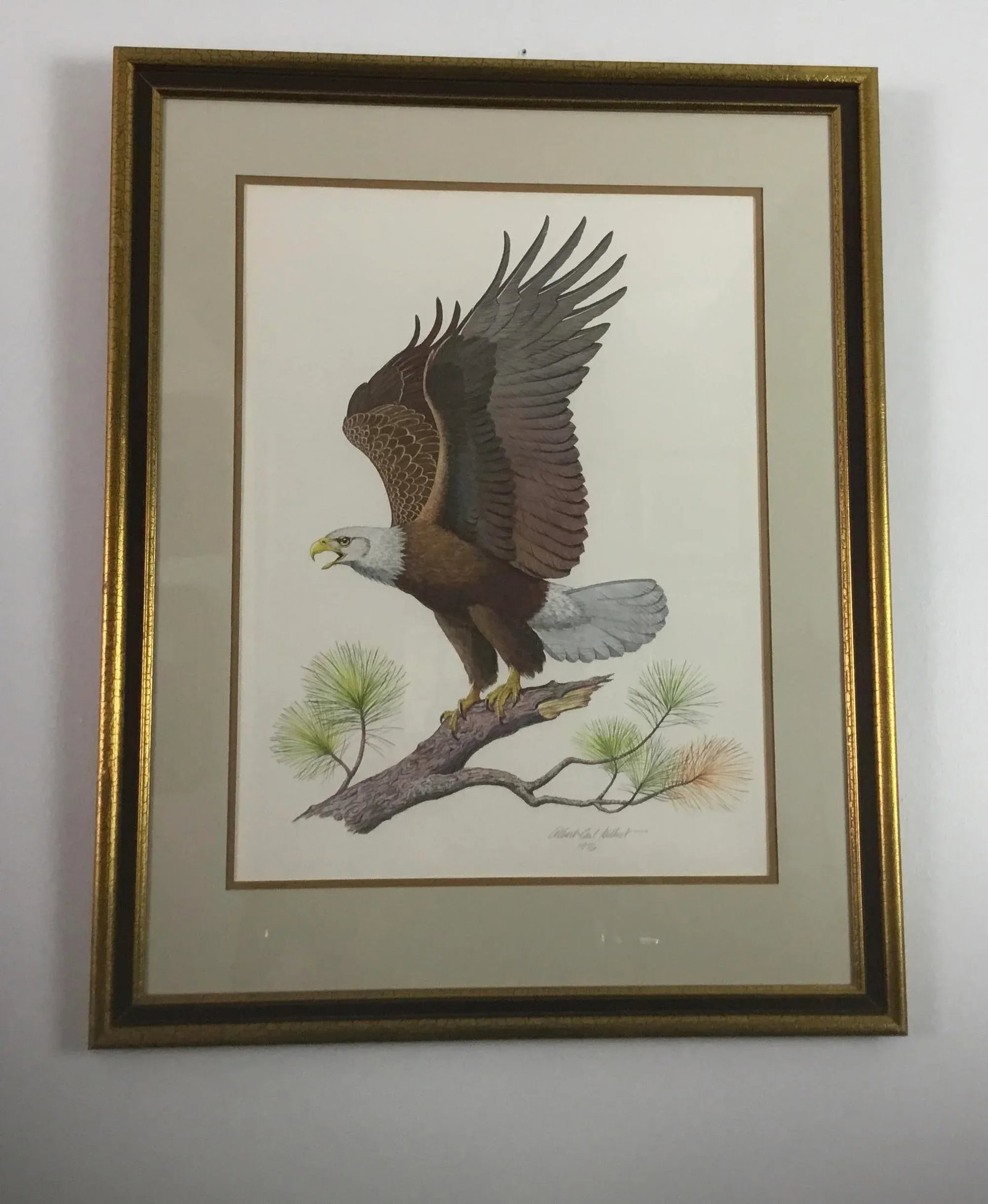 American Bald Eagle by Albert Earl Gilbert - 8