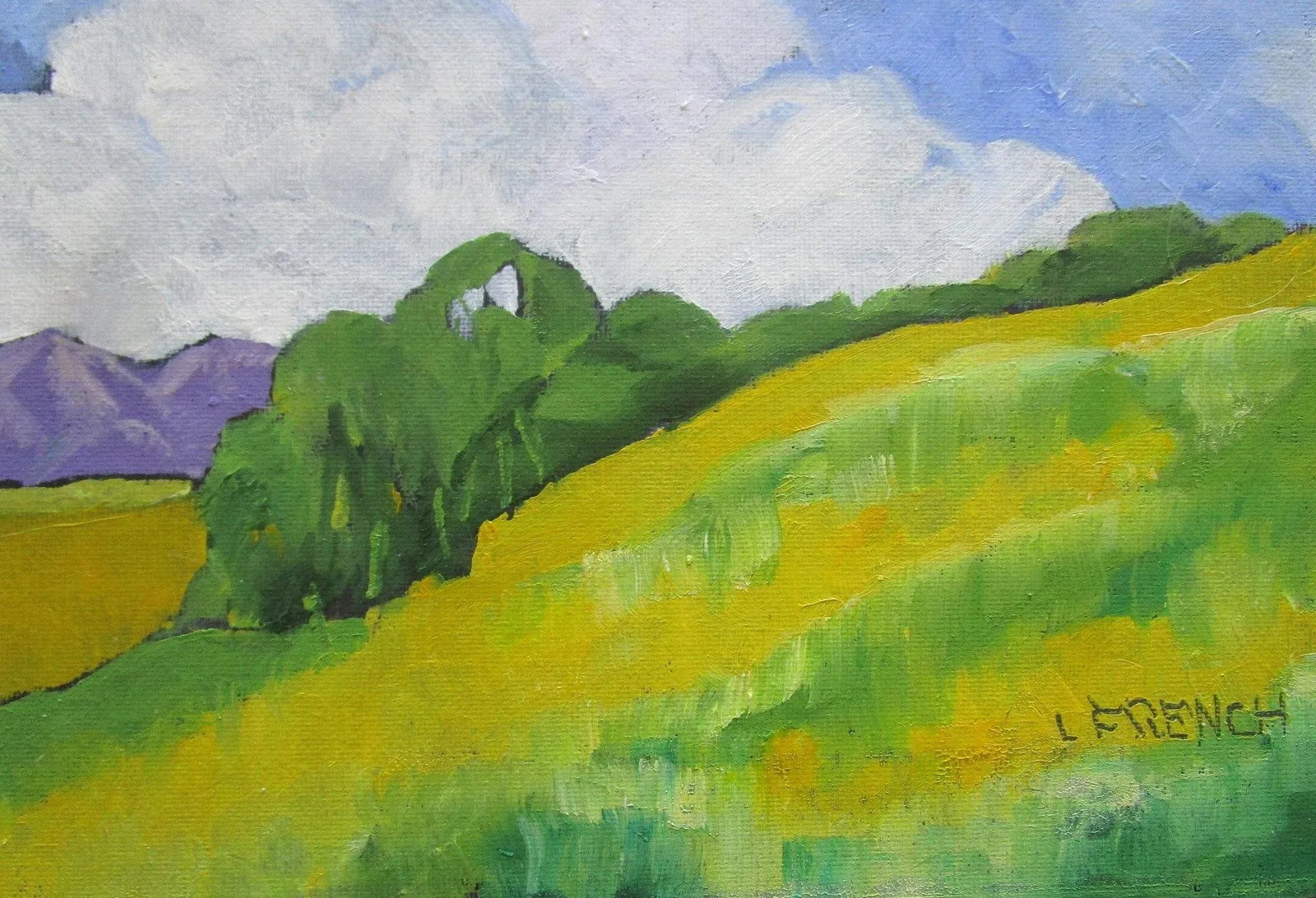 Wild Yellow Mustard Lynne French California Landscape 8x10 Oil - 4