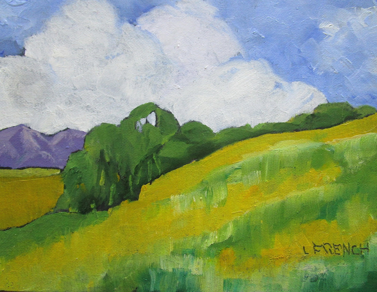 Wild Yellow Mustard Lynne French California Landscape 8x10 Oil - 5