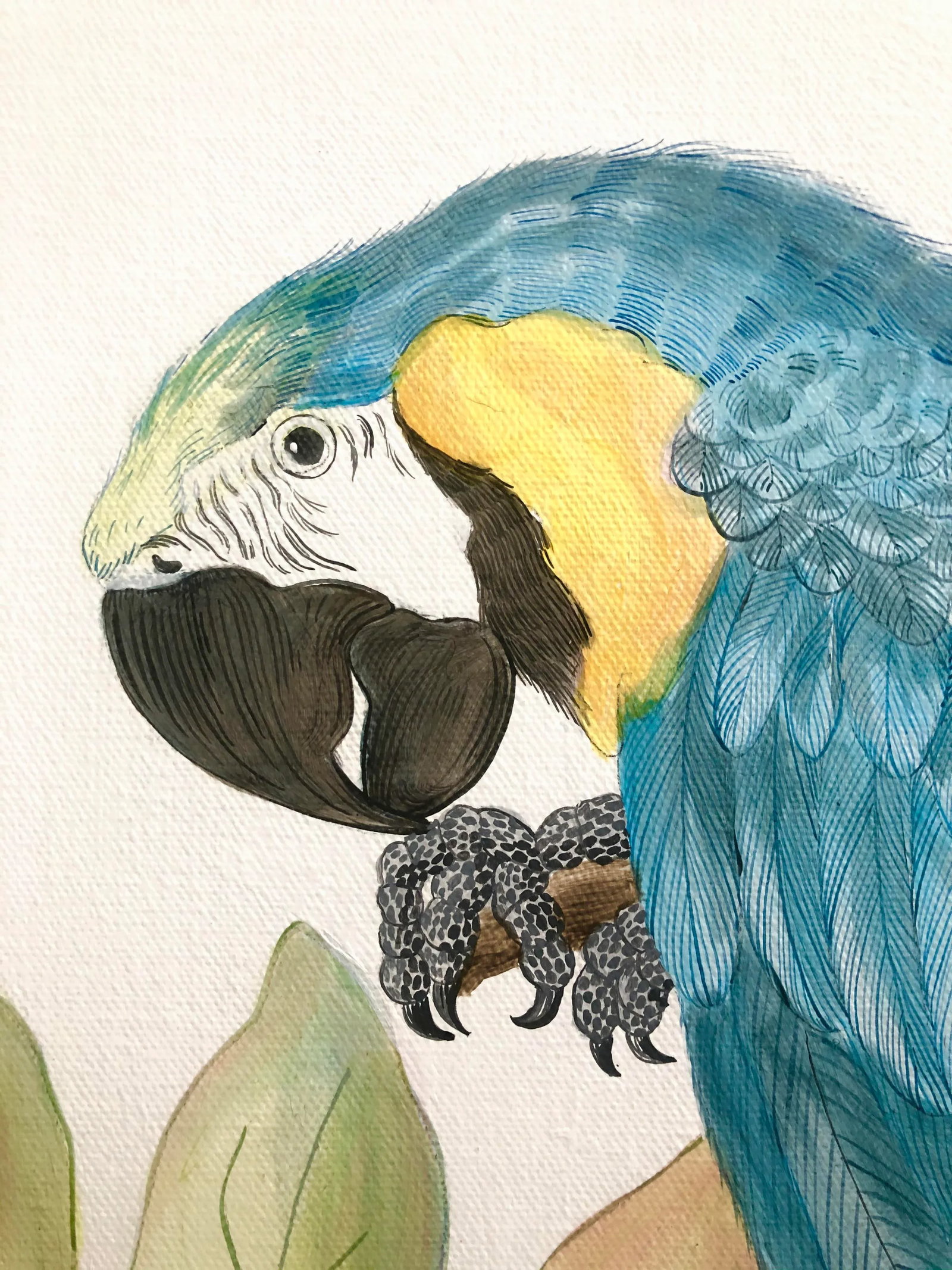 "Forever and a Day" Parrot Bird Macaw Painting in the Chinoiserie Style by Allison Cosmos - 7