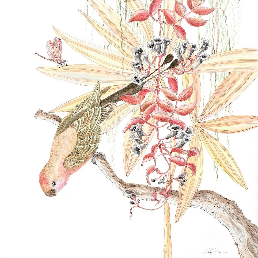 "Strictly for the Birds" Tropical Chinoiserie Painting by Allison Cosmos: "Strictly for the Birds" is an unframed original work. Acrylic on canvas. An elegant parrot is perched among hanging flowering vines and variegated palm leaves and Spanish moss. A delicate dragonfly