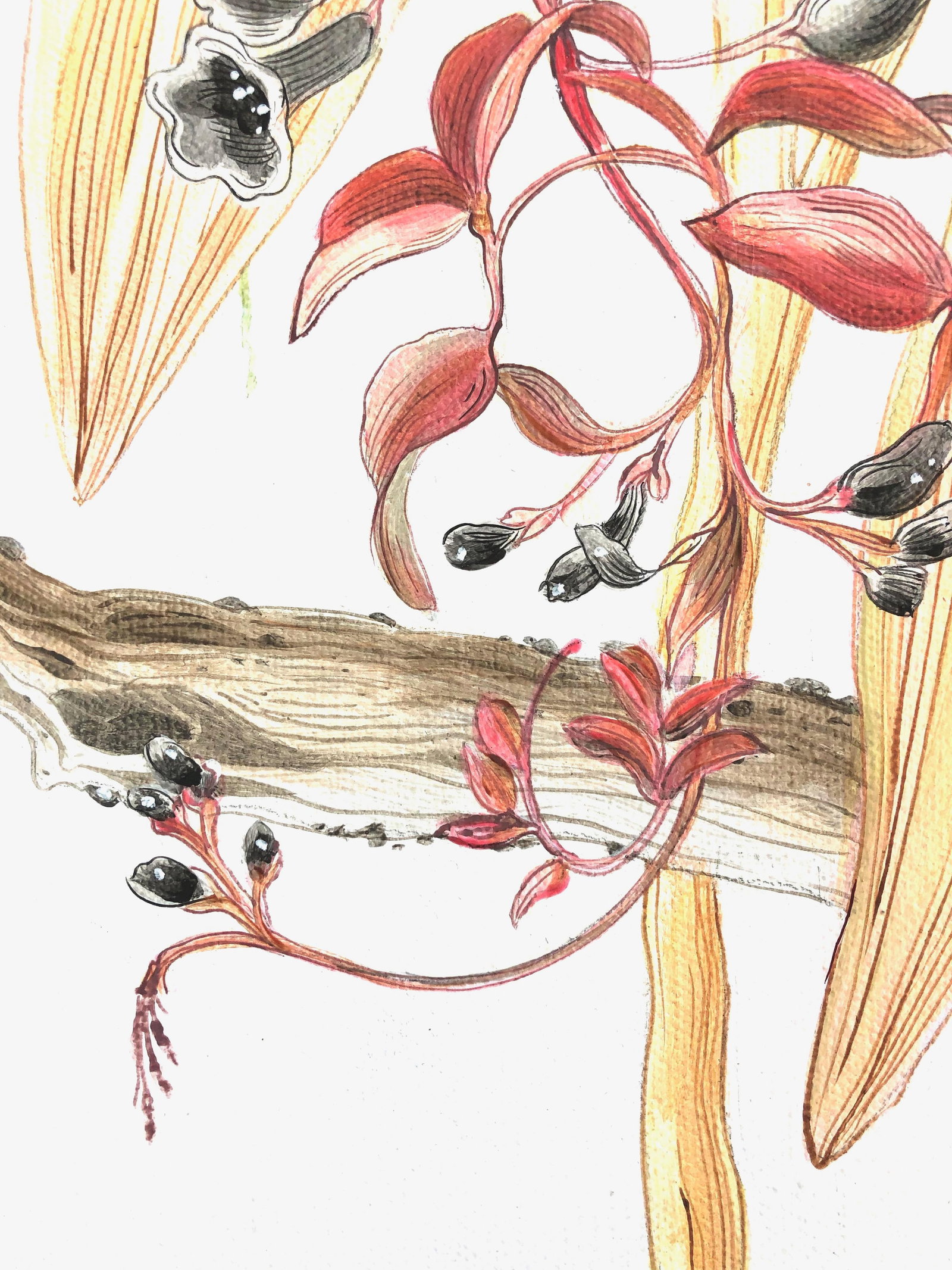"Strictly for the Birds" Tropical Chinoiserie Painting by Allison Cosmos - 2
