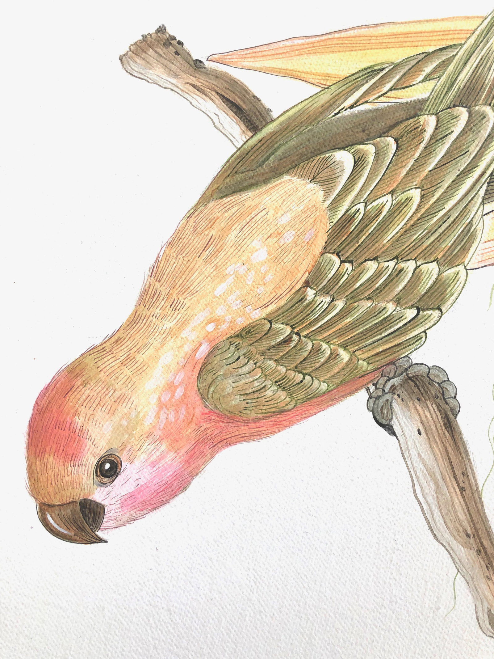 "Strictly for the Birds" Tropical Chinoiserie Painting by Allison Cosmos - 3