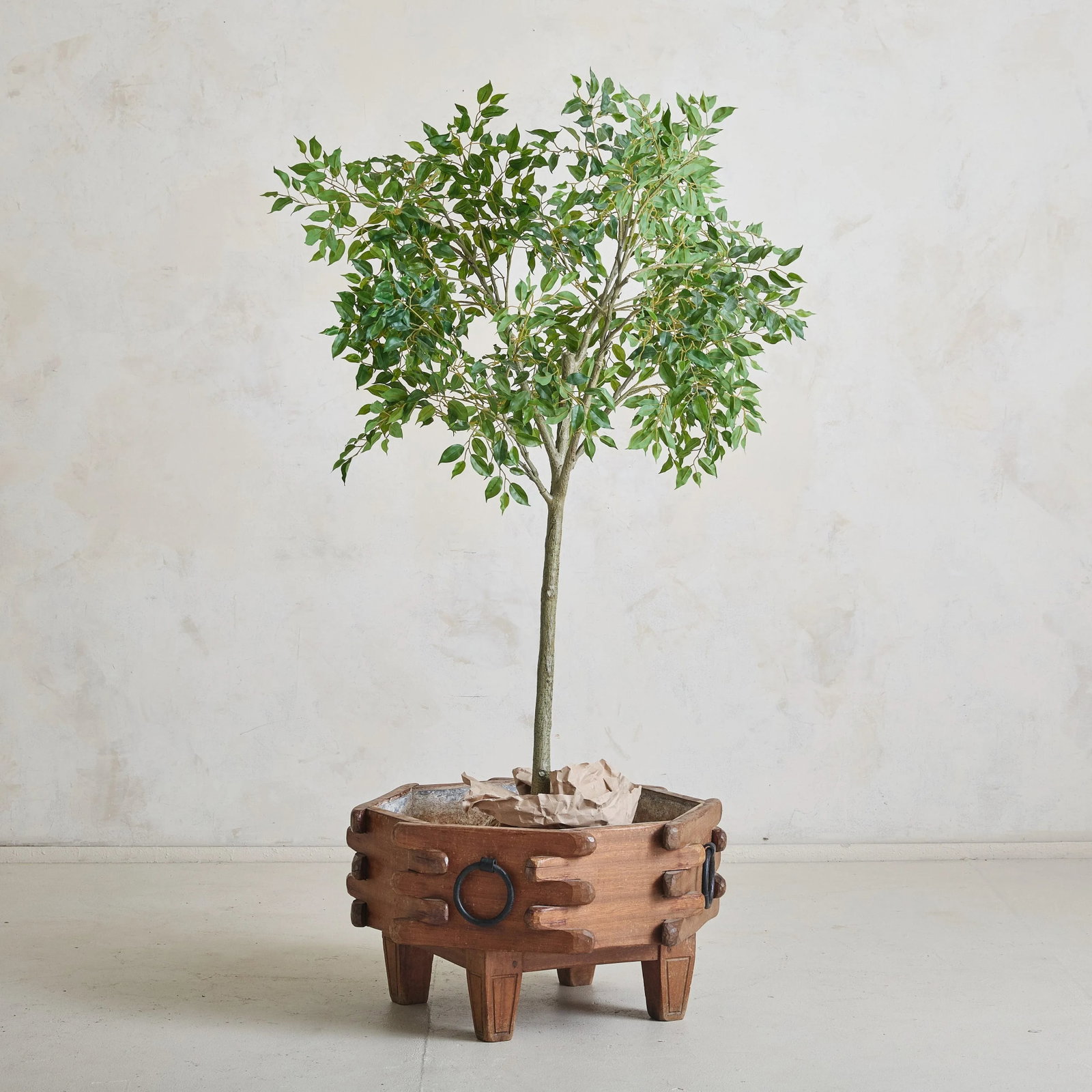 French Wooden Planter with Iron Handles in the Style of Guillerme et Chambron - 5