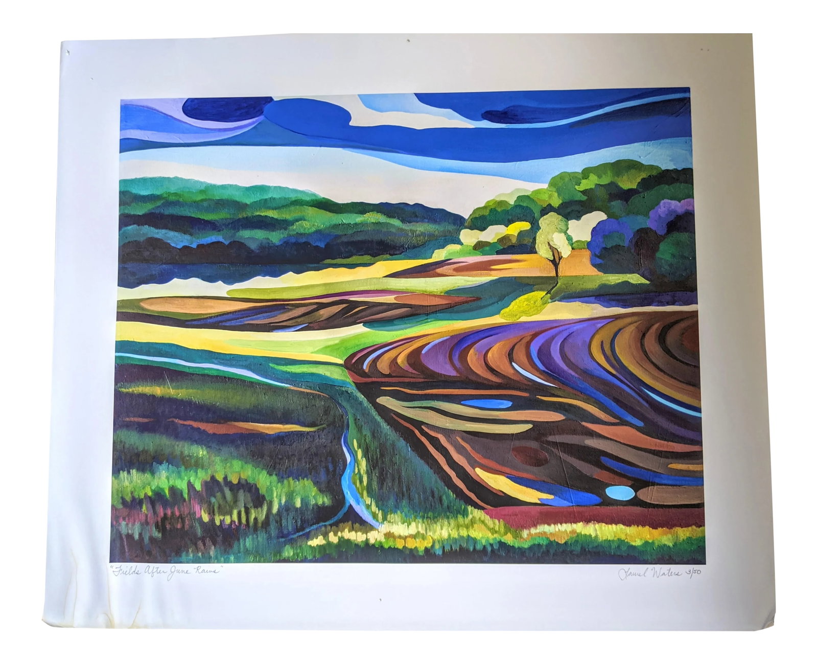 Abstract Expressionist Landscape Print: This bold and beautiful landscape, rendered in saturated hues with an abstract expressionist technique, is entitled "Fields after June Rains." It is a signed, limited edition giclee print (#3/50) on