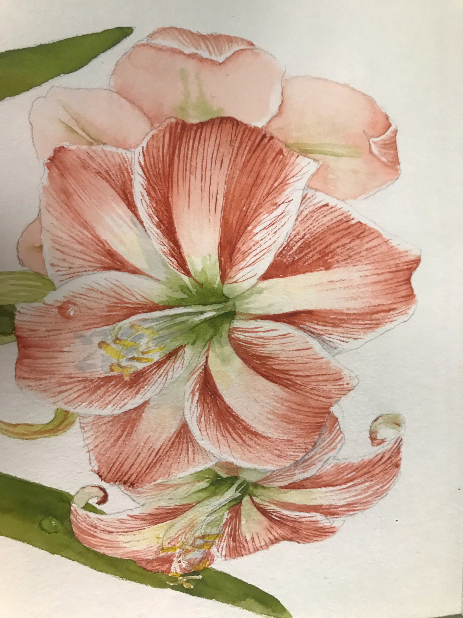 Vintage Hand Painted Watercolor by Jayne Crews - 2