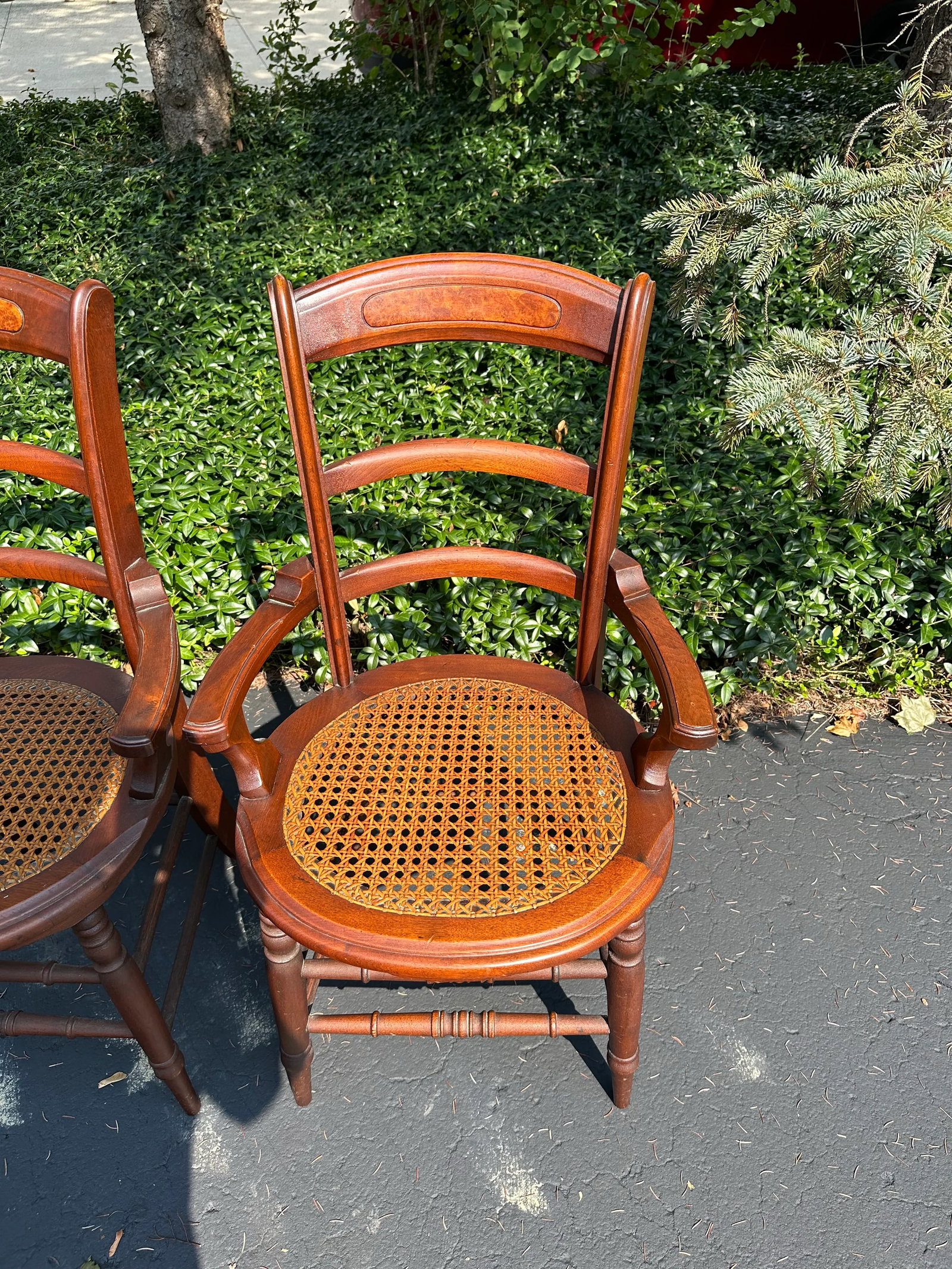 Pair of Late 19th Century Victorian Walnut Burl Wood Chairs - 2