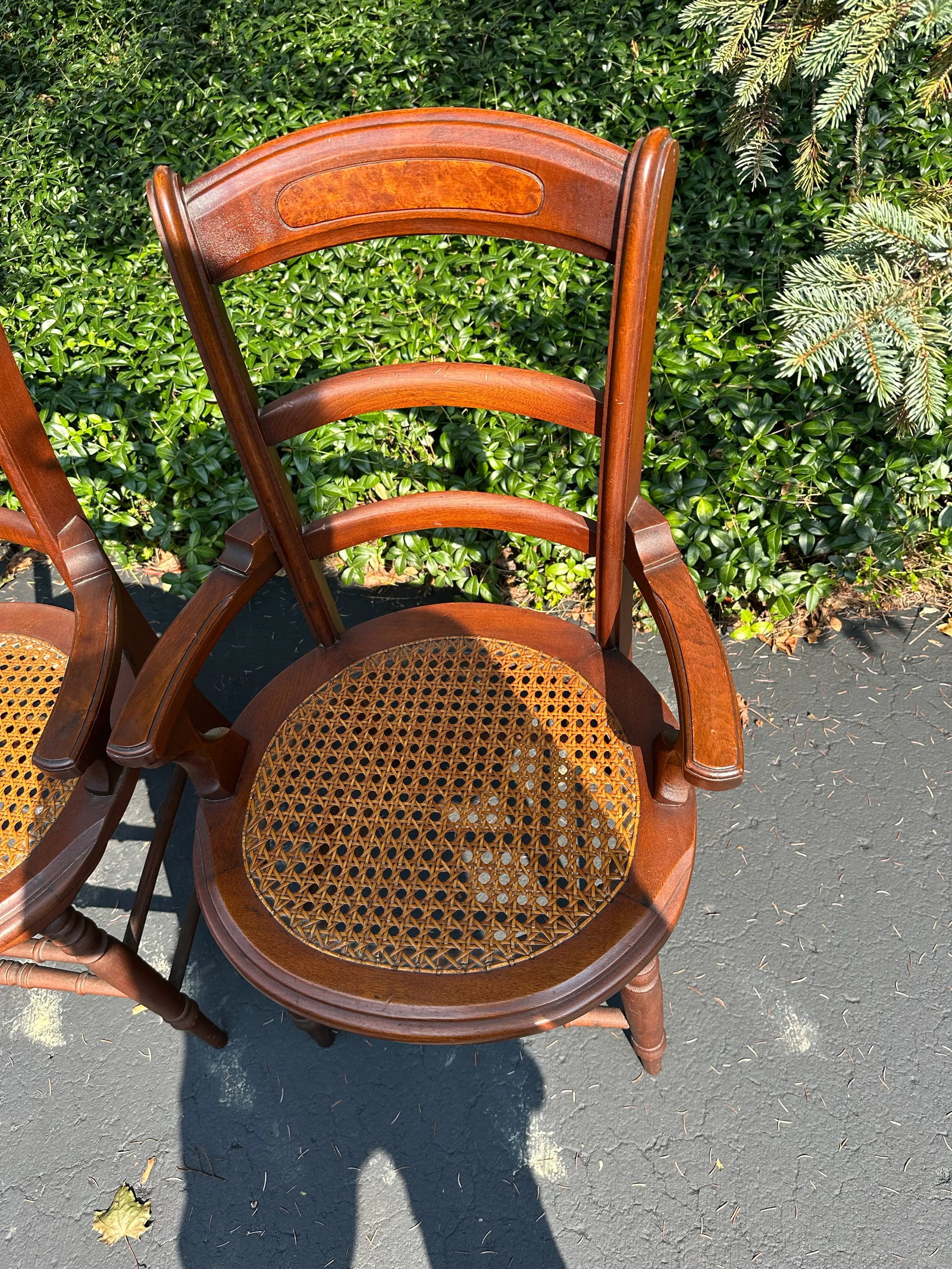 Pair of Late 19th Century Victorian Walnut Burl Wood Chairs - 5