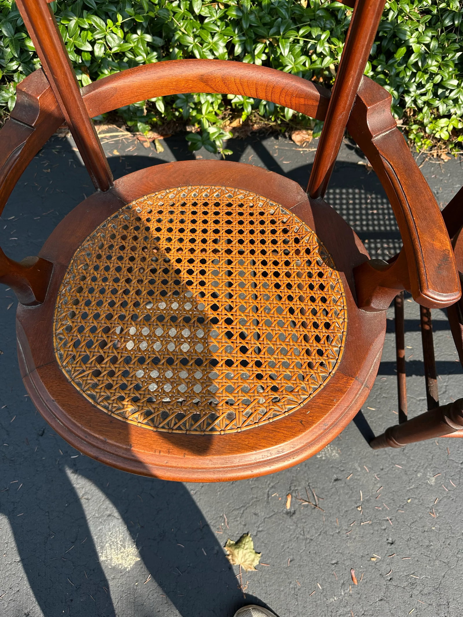 Pair of Late 19th Century Victorian Walnut Burl Wood Chairs - 8
