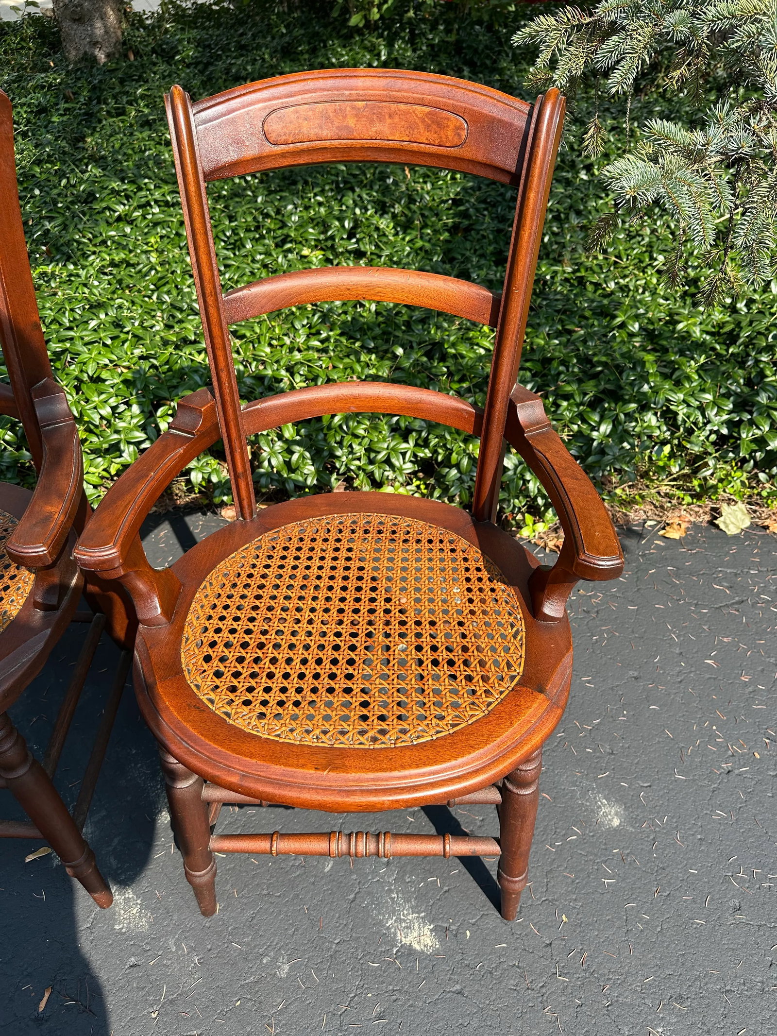 Pair of Late 19th Century Victorian Walnut Burl Wood Chairs - 9