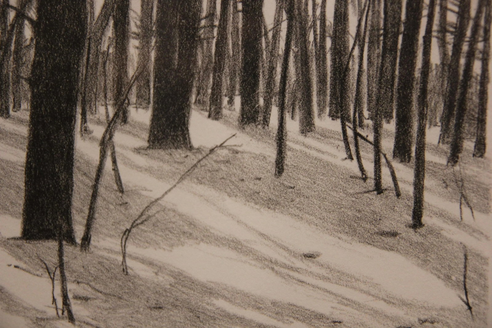 Mid 20th Century "Trees in Snow" Black and White Winter Landscape Lithograph 2/10 - 2