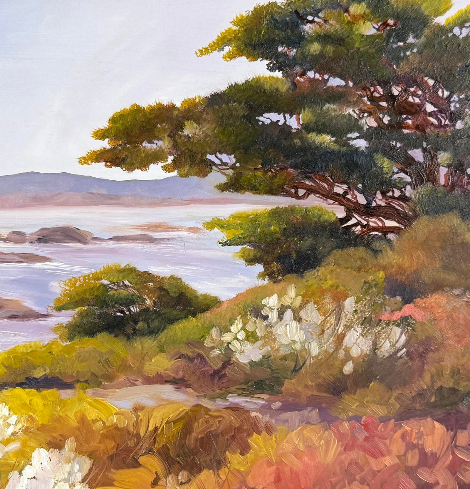 Near Point at Carmel by the Sea California by Dee Bottorff - 4