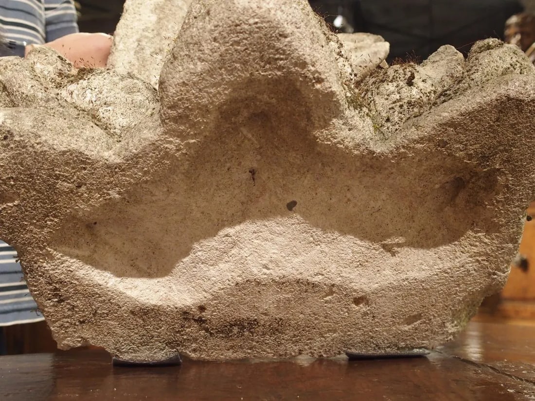 Antique French Stone Fountain Piece With Triple Dolphin Spouts, Circa 1900 - 7