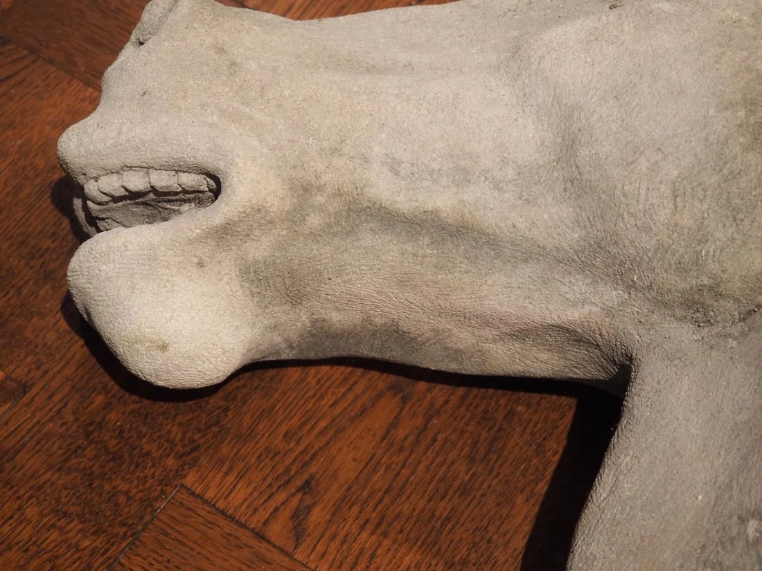 Carved Limestone Horsehead From Italy - 4