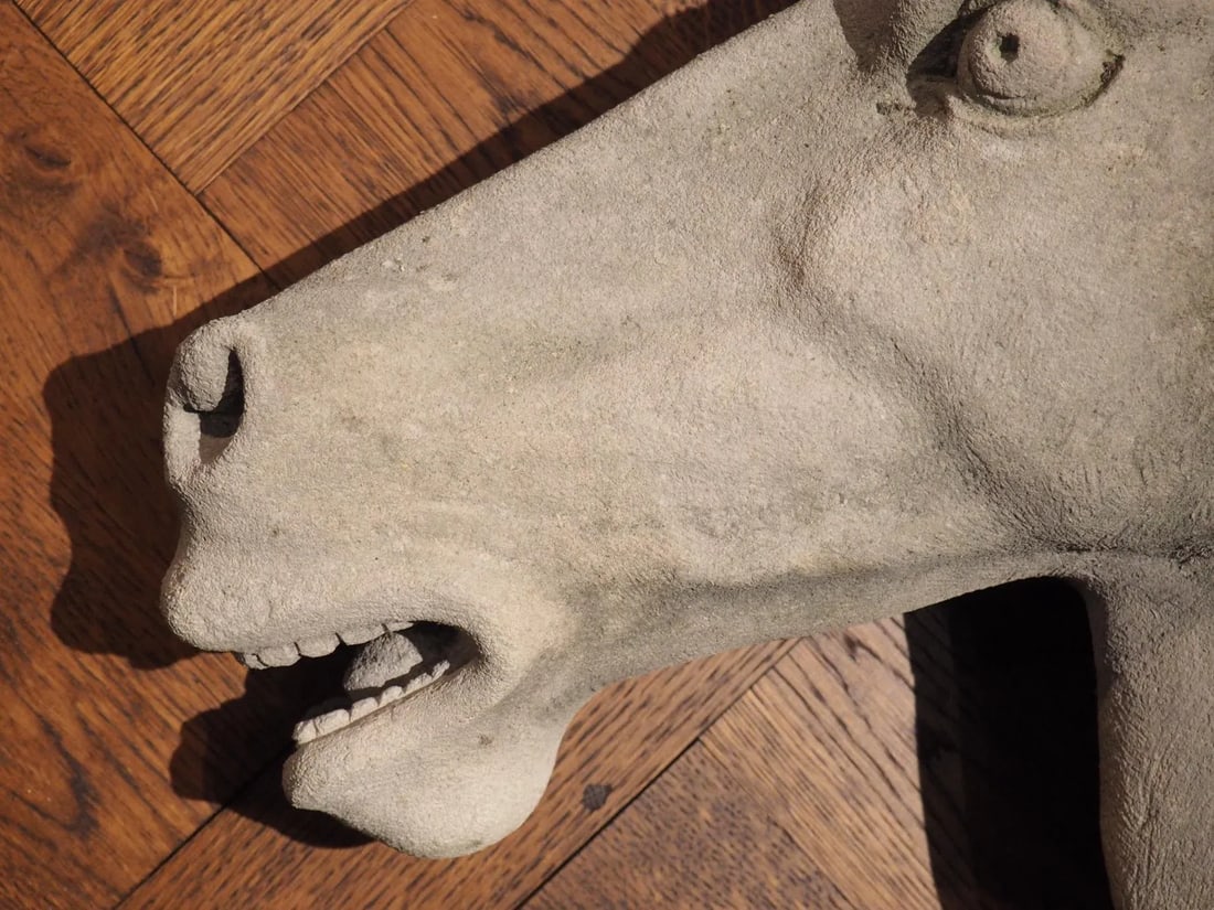 Carved Limestone Horsehead From Italy - 7
