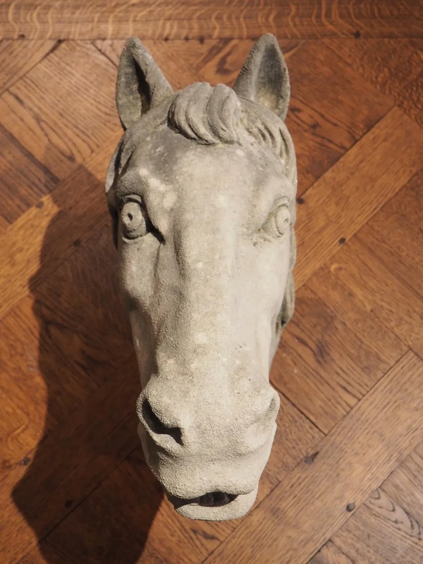Carved Limestone Horsehead From Italy - 9