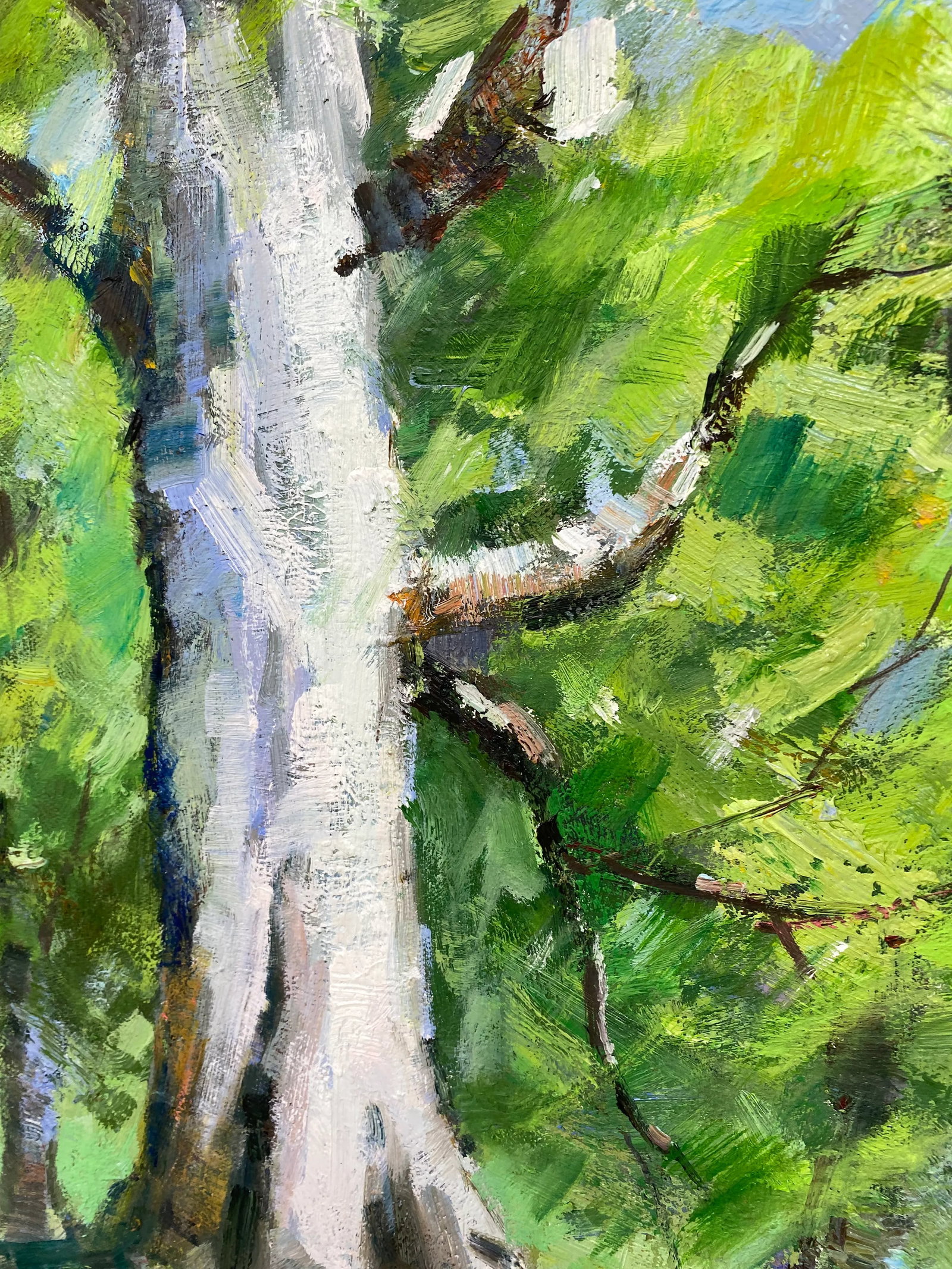 Impressionistic Landscape Original Oil Painting - 10