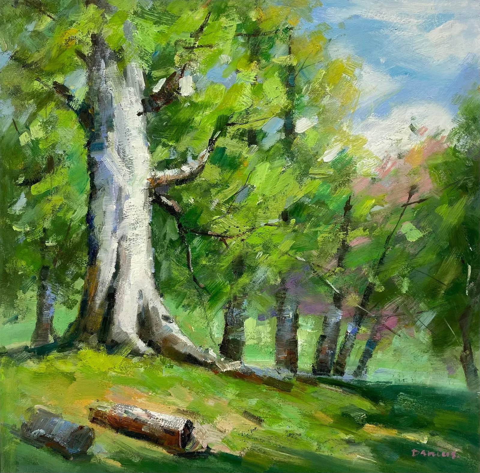 Impressionistic Landscape Original Oil Painting: A bright and lively original oil painting on canvas capturing a sunlit woodland scene with rich greens and dappled light. A strong central tree anchors the composition while soft brushstrokes and