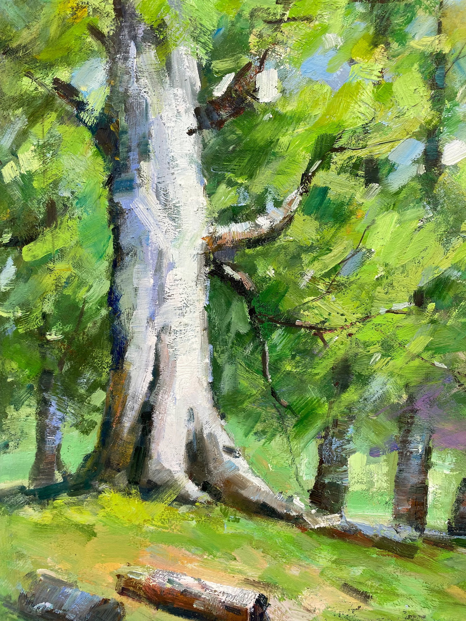 Impressionistic Landscape Original Oil Painting - 6