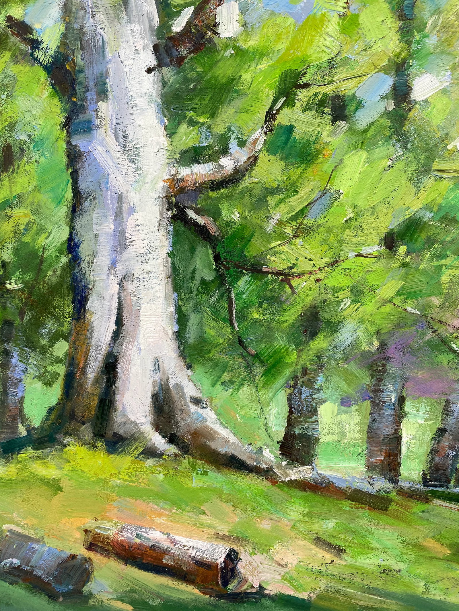 Impressionistic Landscape Original Oil Painting - 7