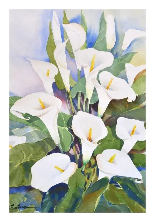Calla Lilies Watercolor - 4