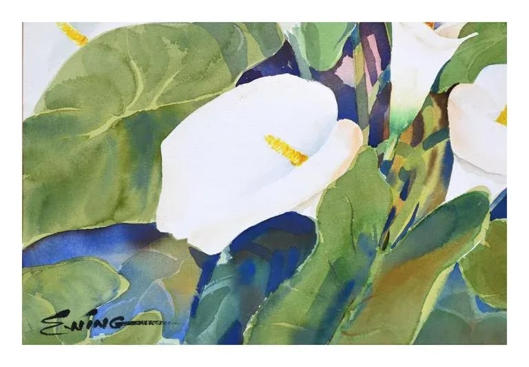 Calla Lilies Watercolor - 5