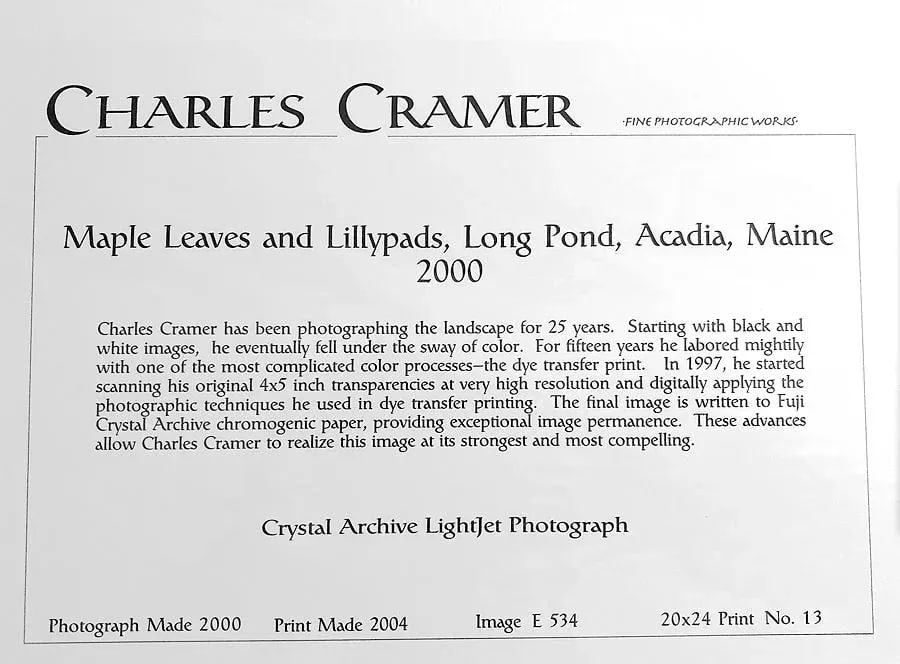 "Maple Leaves and Lillypads, Long Pond, Acadia, Maine 2000" Pond Scene Numbered Photograph Print by - 3