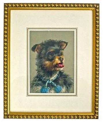 Vintage Framed Terrier Dog Engraving: A framed English Terrier dog engraving that features an adorable dog with a brightly colored rope collar. There are no maker's marks on this cute piece, that's tastefully displayed in a gilt wood