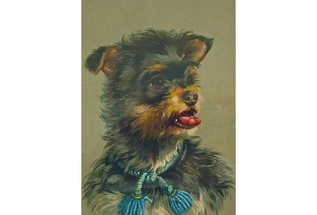 Vintage Framed Terrier Dog Engraving - 2