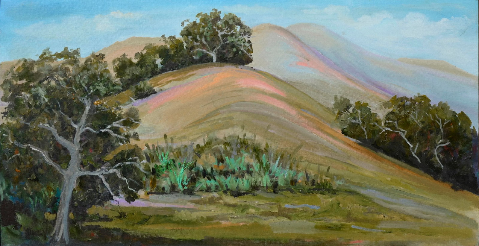 Big Sur Rolling Hills Landscape by Kathleen Murray - 2
