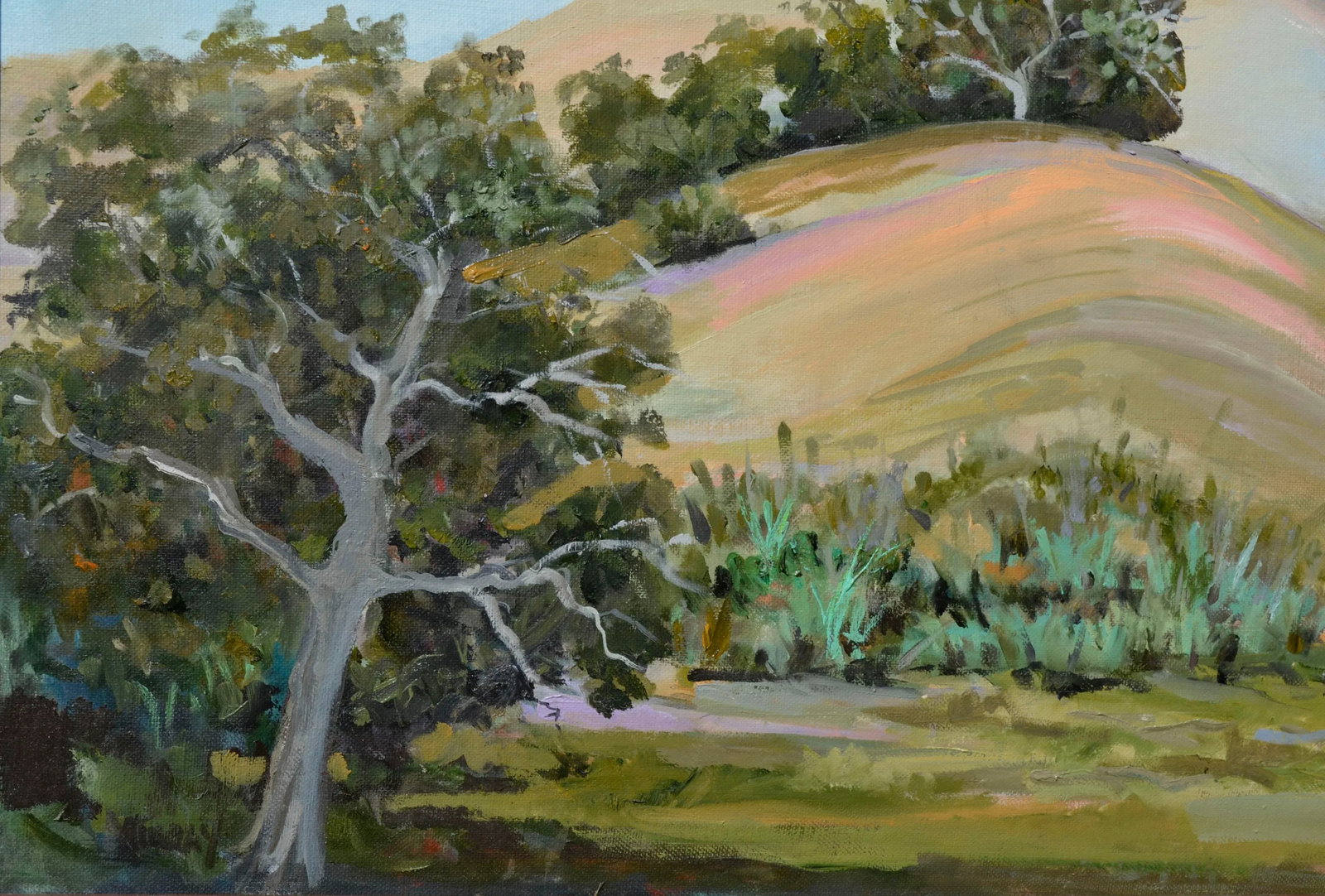 Big Sur Rolling Hills Landscape by Kathleen Murray - 3