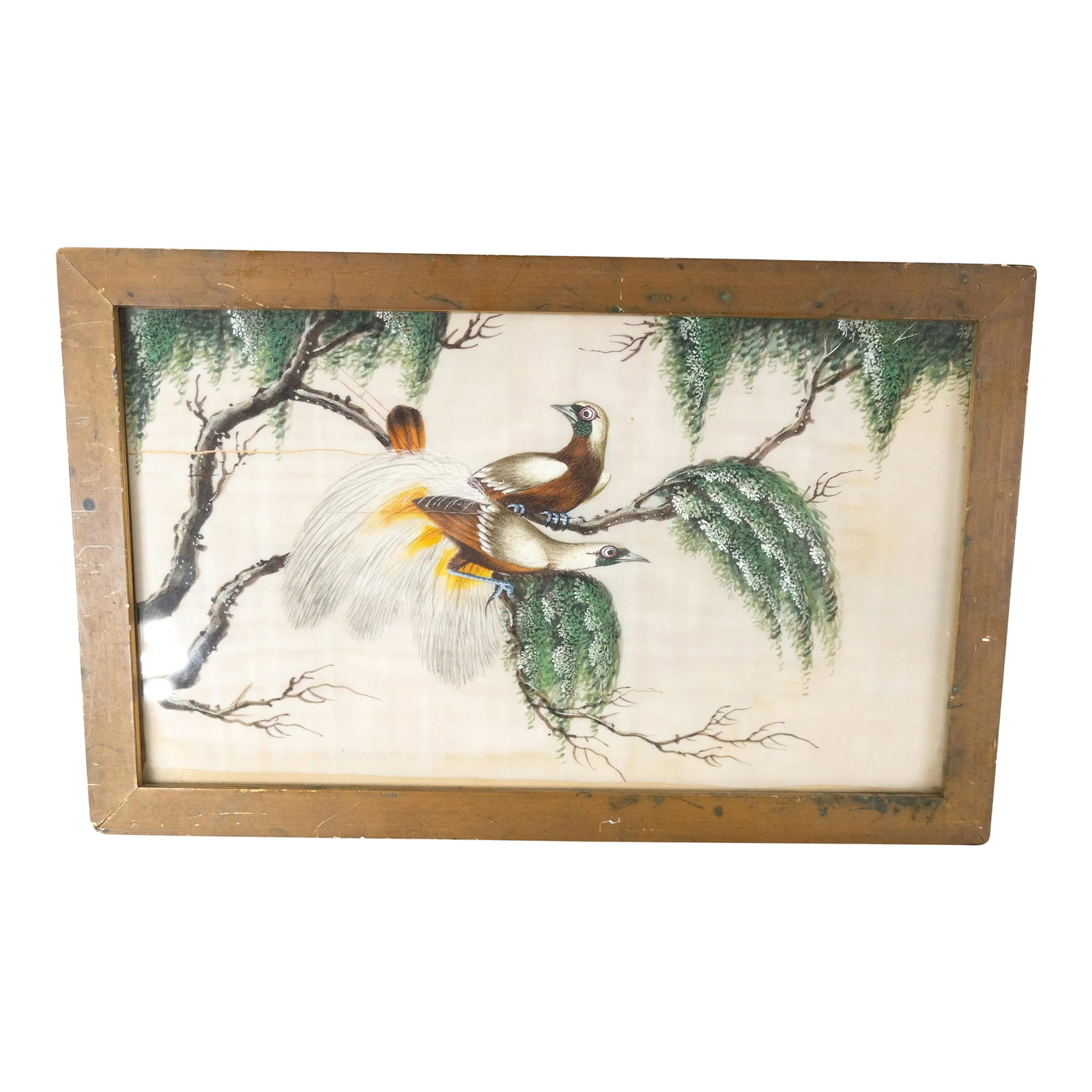 19th or 20th Century Chinese Chinoiserie Export Watercolor Painting of Birds of Paradise: We are selling this 19th or 20th century Chinese export watercolor painting of two birds of paradise on rice or pith paper. Condition: Some splitting to the paper. Light discoloration to the paper.