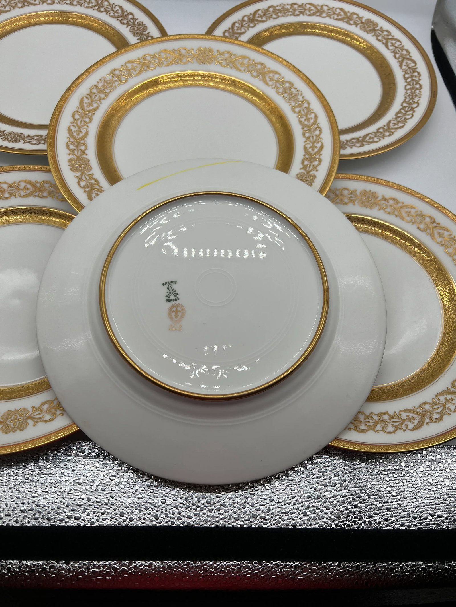 Set of 6 - Ahrenfeldt Limoges for Richard Briggs Boston Gilt Enamel Dinner Plates - 9