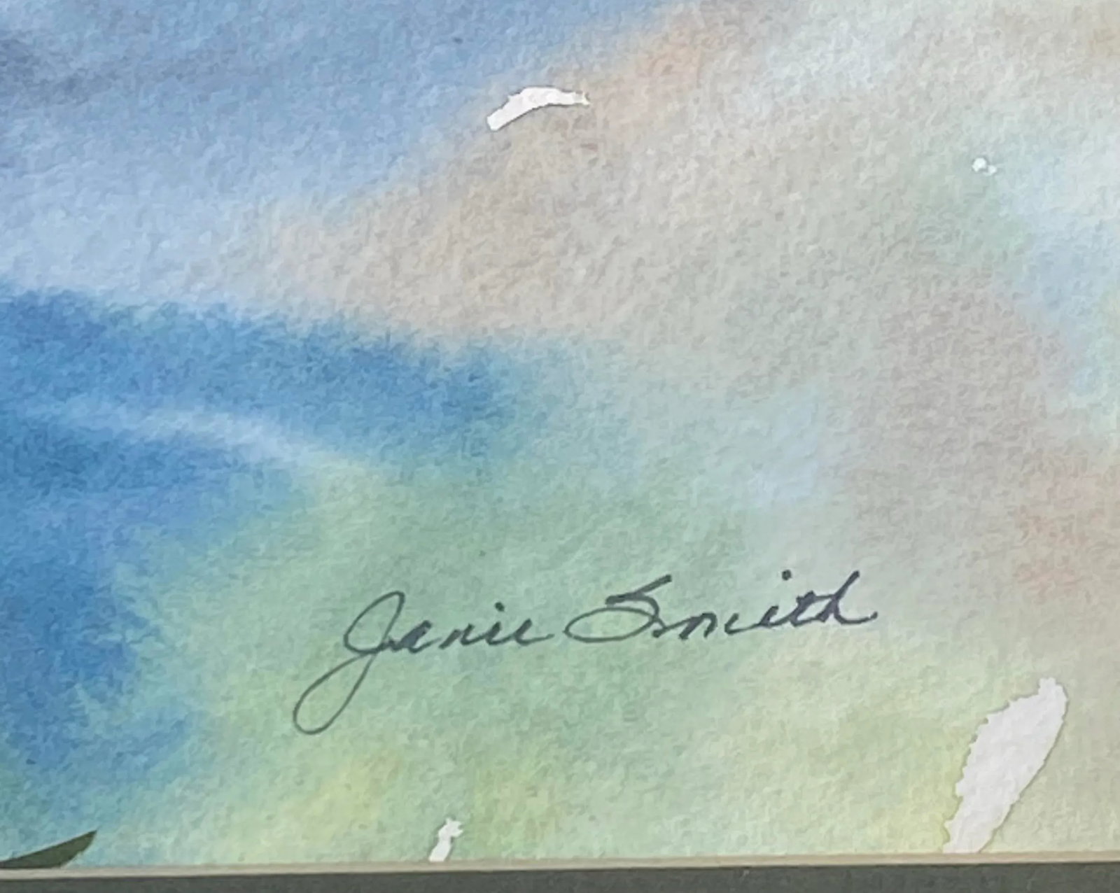 Vintage Framed Watercolor on Paper Floral Study "White Wild Rose" Artist Janie Smith Thomas Nevada - 5