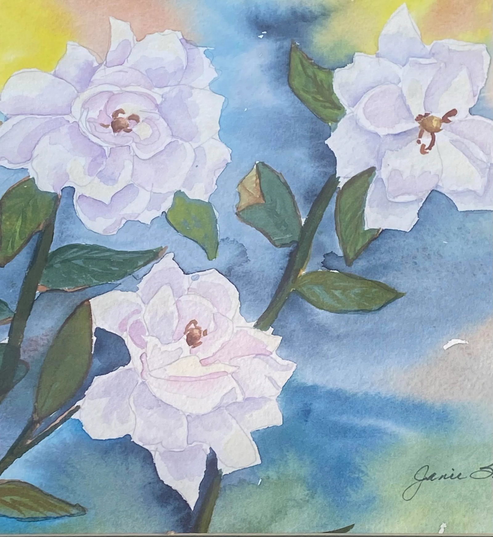 Vintage Framed Watercolor on Paper Floral Study "White Wild Rose" Artist Janie Smith Thomas Nevada - 6