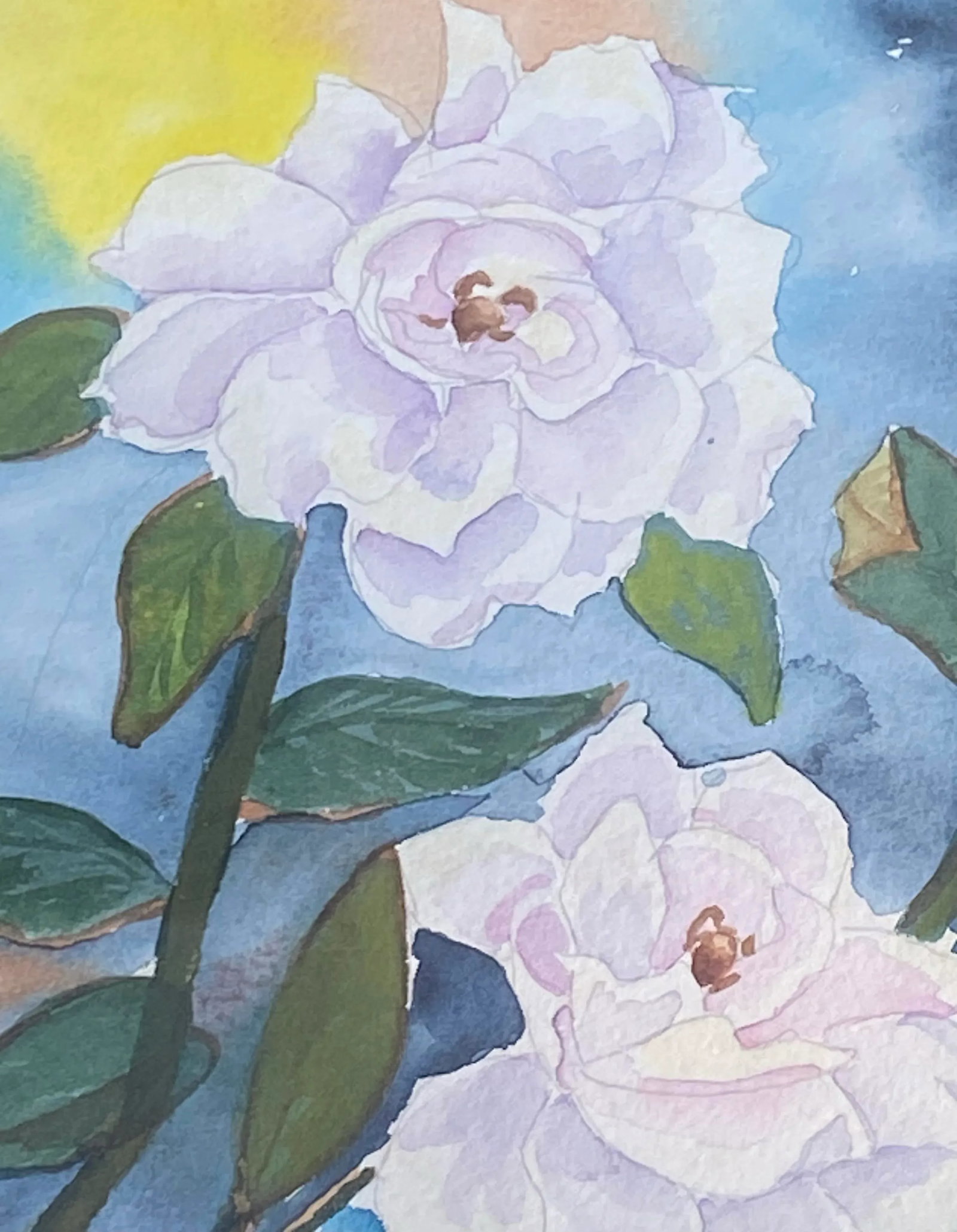 Vintage Framed Watercolor on Paper Floral Study "White Wild Rose" Artist Janie Smith Thomas Nevada - 7