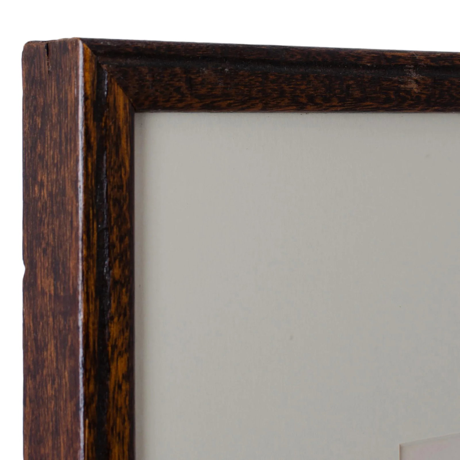 Bradbury Seaweed, C.1859, Handcrafted Frame - 5