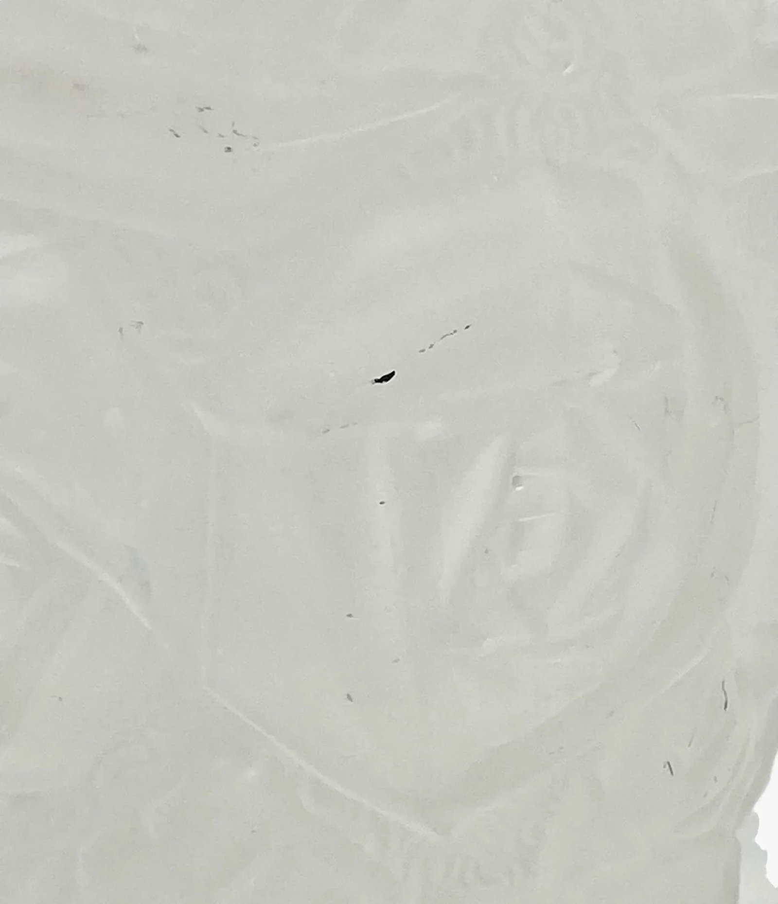 1930's Barolac Molded Frosted Art Glass Vase With Roses Design Czech Artist Joseph Inwald - 9