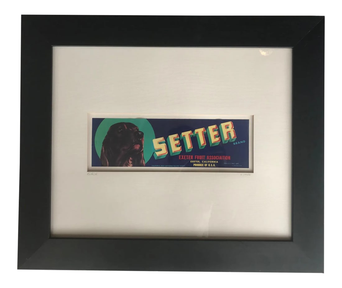 Vintage 1950s Crate Label Print for Setter Exeter Fruit Association: Framed vintage crate label art from the 1950's created for Setter Exeter Fruit Association. Piece features a picture of a Setter dog in front of a vivid blues and the word Setter in bright yellow.