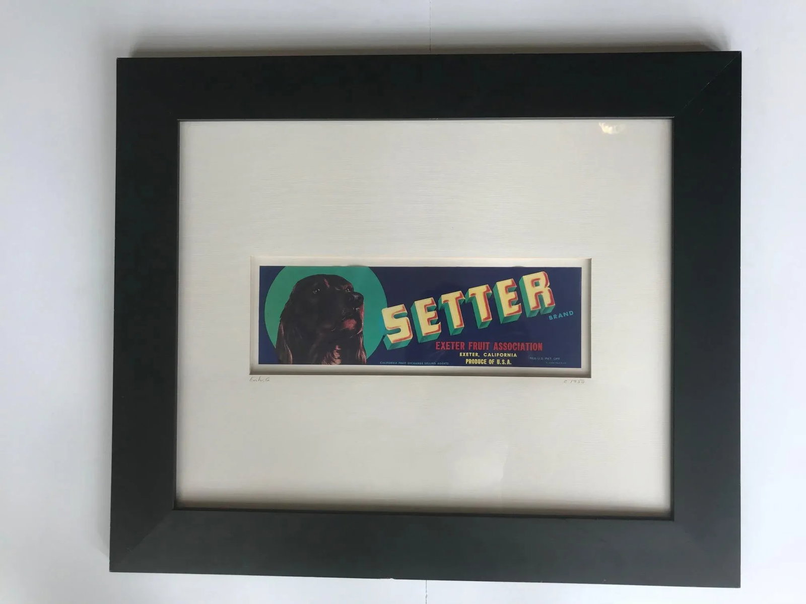 Vintage 1950s Crate Label Print for Setter Exeter Fruit Association - 5